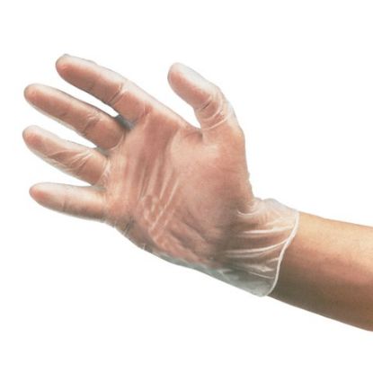 Picture of JANGRO LARGE CLEAR GLOVES VINYL POWDER FREE LARGE (PACK OF 100)