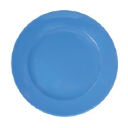 Picture of POLYCARB DINNER PLATE 24CM BLUE