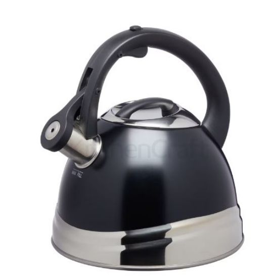 Picture of WHISTLING KETTLE 1.6LTR ST/ST