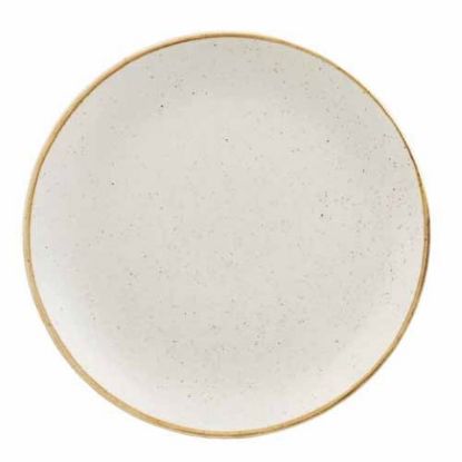 Picture of CASE OF 12 STONECAST COUPE PLATE 10.25" BARLEY WHITE