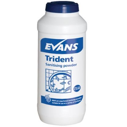 Picture of TRIDENT SANIITSER 500g