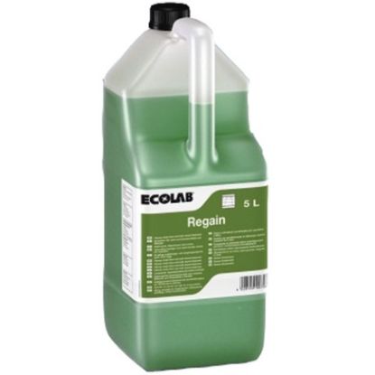 Picture of REGAIN FLOOR WALL & SURFACE CLEANER 5LTR (2)  **LQ**