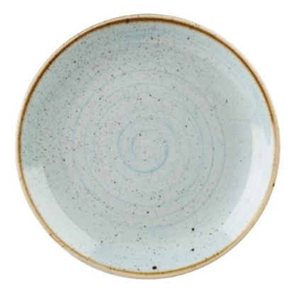 Picture of CASE OF 12 STONECAST COUPE PLATE 10.25" 26cm DUCK EGG