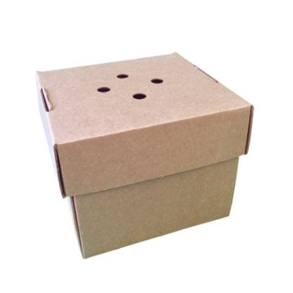 Picture of E-FLUTE PAPER BURGER BOX 120x120x102MM BROWN (100)