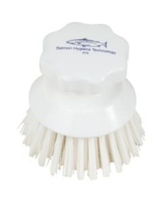 Picture of HYGIENE ROUND HAND SCRUBBING BRUSH WHITE