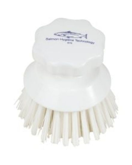 Picture of HYGIENE ROUND HAND SCRUBBING BRUSH WHITE