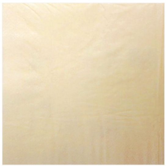 Picture of NAPKIN DINNER 40cm CHAMPAGNE 2 PLY (125)